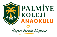Palmiye Koleji Anaokulu